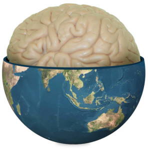Brain Globe 